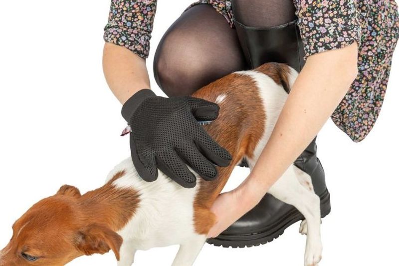 Pälsvårdshandske, höger, 16x24 cm, blå