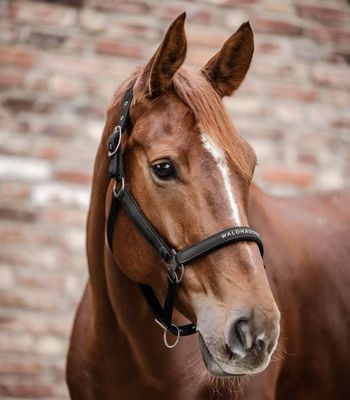 6qCDJ45Ehs9Njbb1764327649