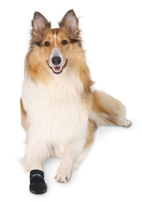 6rlNJEvt4G9mQYX1764327303