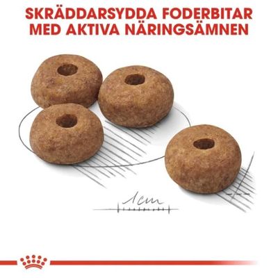 6x9DsSRCqYu7r5X1764325981