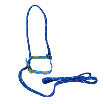 Fångstgrimma med grimskaft 2m Blå