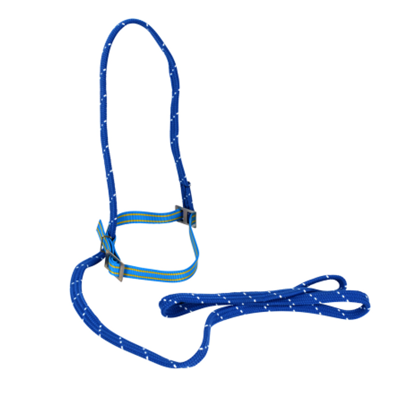 Fångstgrimma med grimskaft 2m Blå