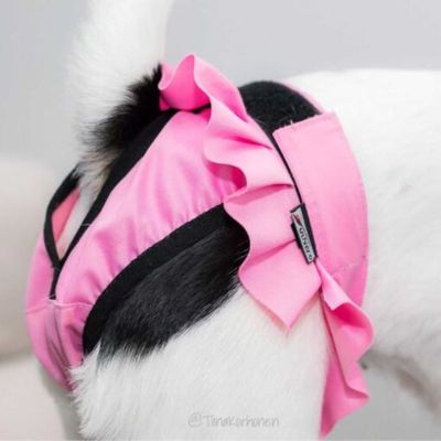 77k1k4C2K0IOuRo1764327361