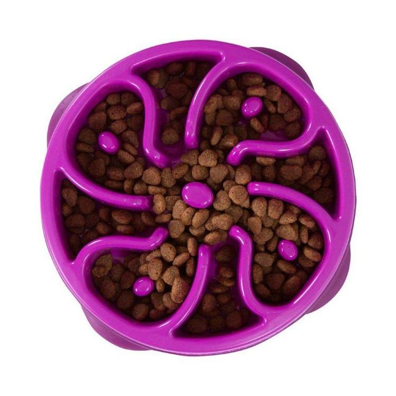 Fun Feeder Slo Bowl, Lila