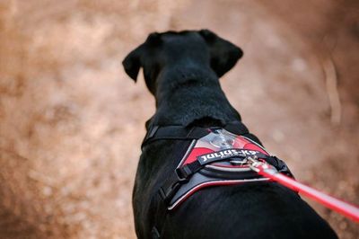 8TzH8yyk5Fx6DjO1764326904