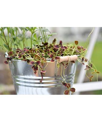 8jhBvsomP3rsABB1767601090