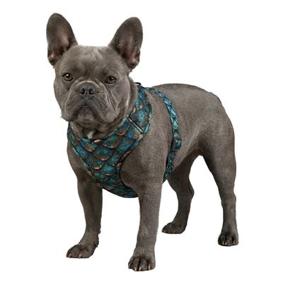 WAUDOG Mesh Hundsele Scales