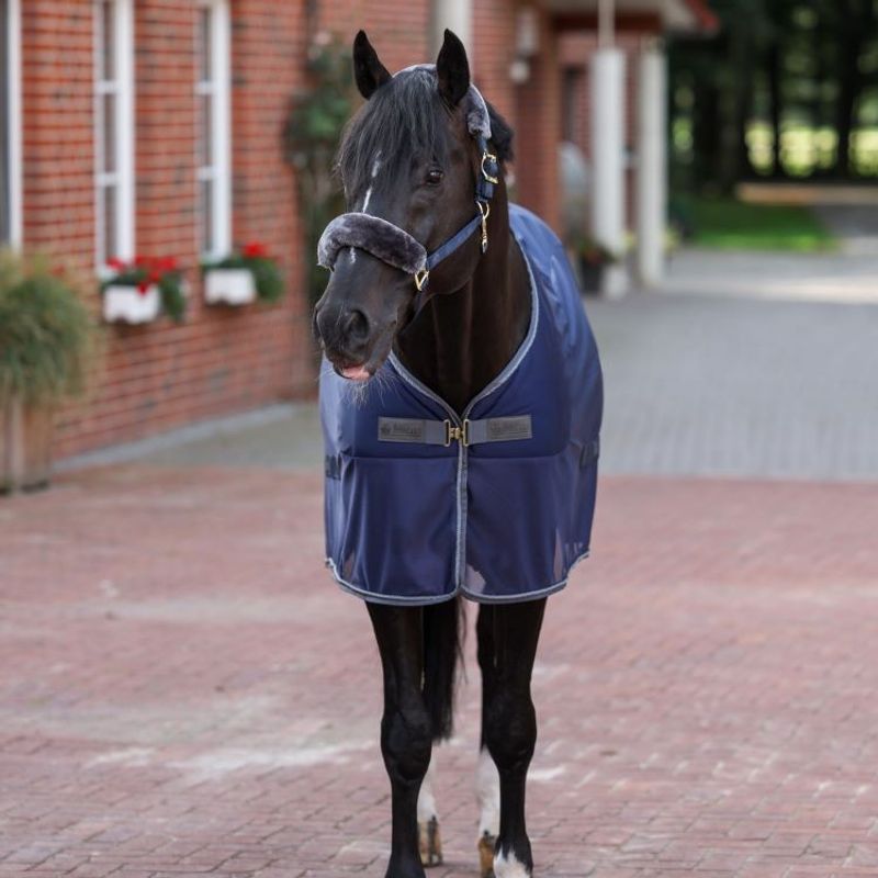 Bucas Show-Line Competition Cooler