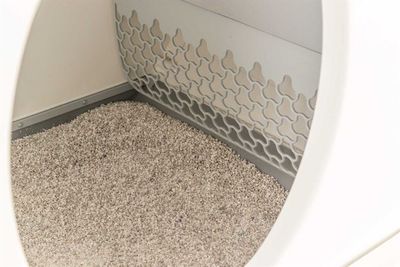 Trixie Kattlåda, Självrengörande