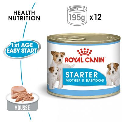 RC Mother & Babydog Starter Mousse 195g