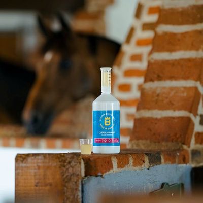 9VG1eviYfEEZ3st1764327394