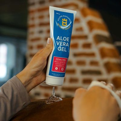 9sJBZCriuHVPPcN1764327446