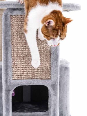 Klösträd Little Rock 99