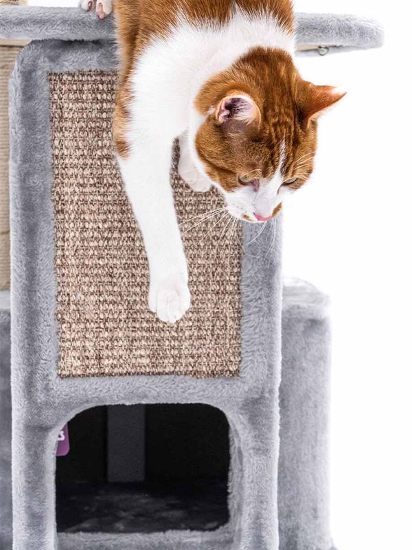 Klösträd Little Rock 99