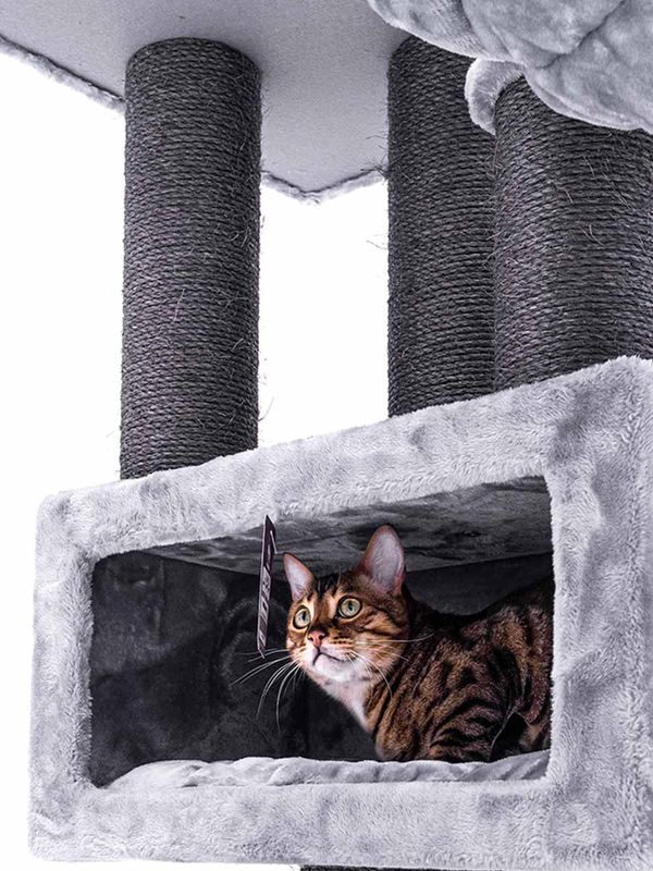 Klösträd Parklane 131