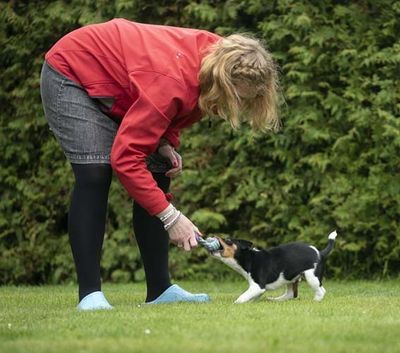 CVoQbdIaJEN5hcD1764324299