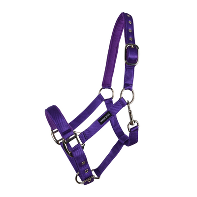 Grimma FrottÃ© lila