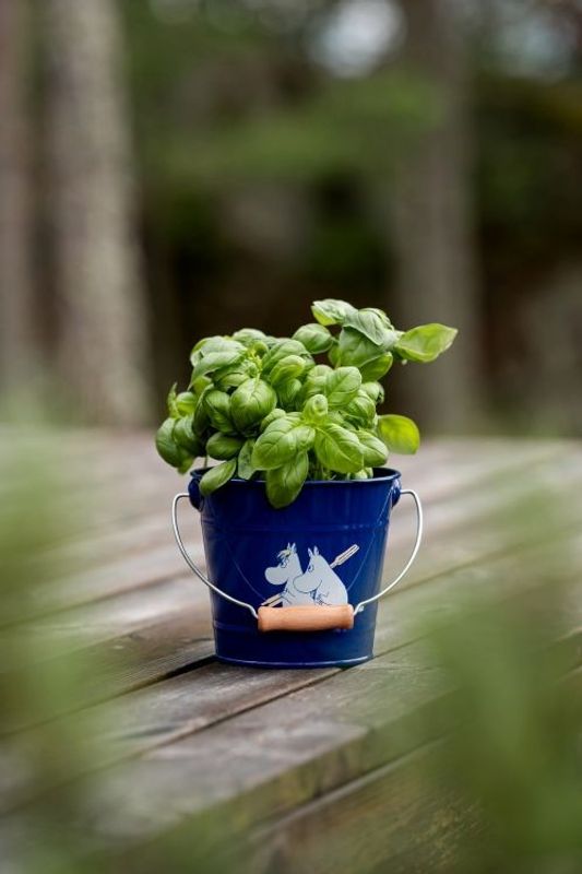 Mumin Hink 2L (Blå)