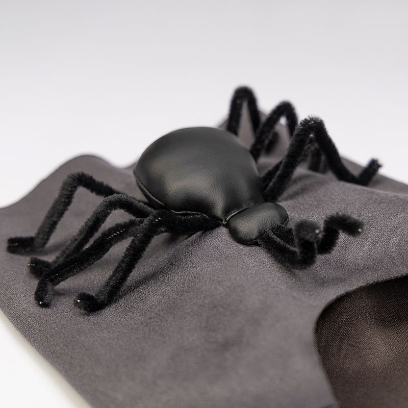 Spindelben till Hund