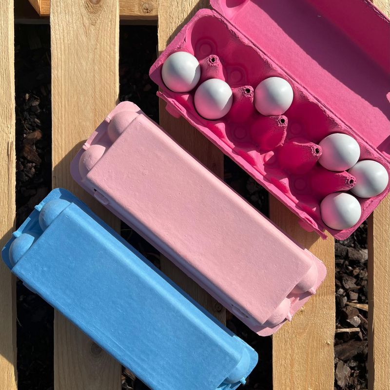 Äggkartong 12-ägg Färgad