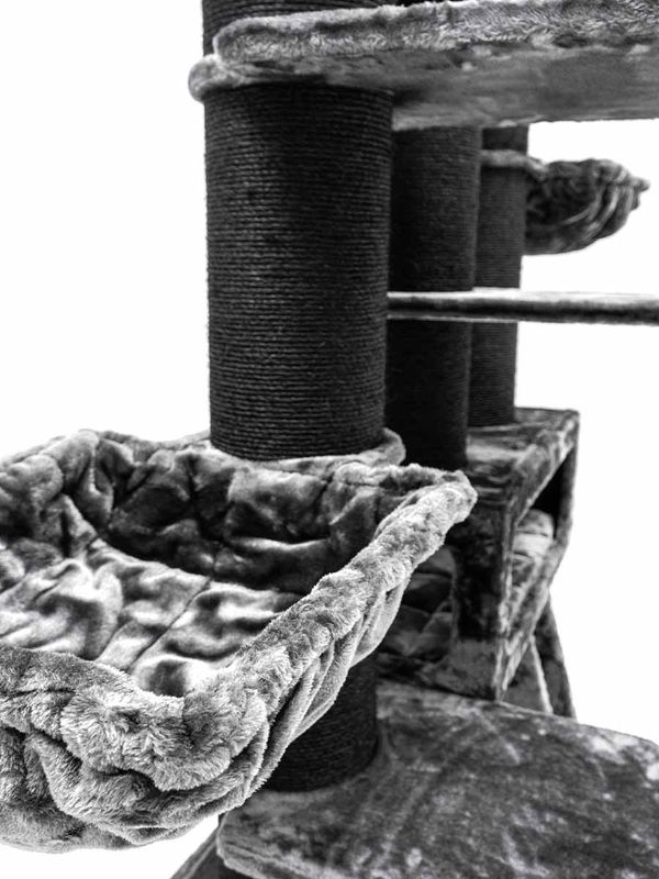 Klösträd Siberian 200