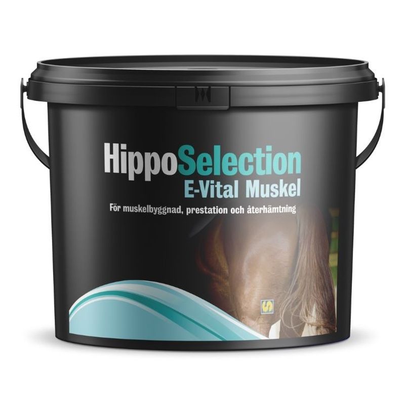 HippoSelection E-Vital Muskel hink