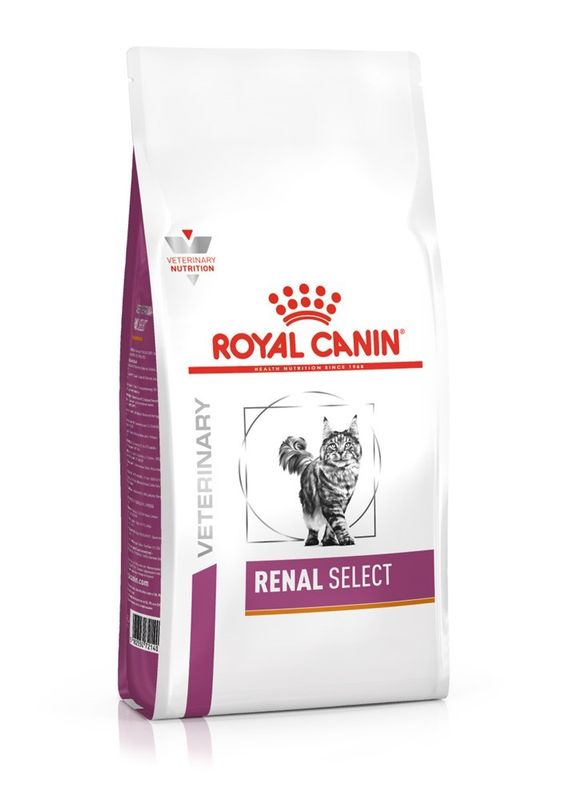 RCV Cat Vital Renal Select