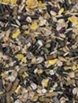 C12Fdvrzg7Nq2IG1764325834