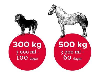 D364MgYx41eDMvY1764327832