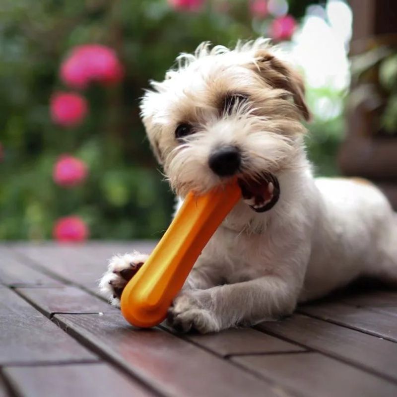 Fiboone Leksaksben Orange