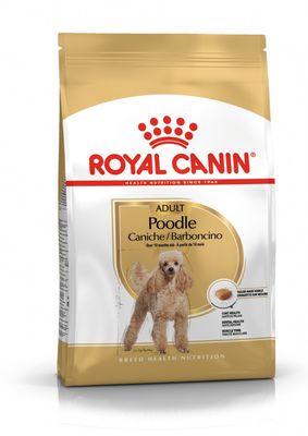 RC Poodle Adult
