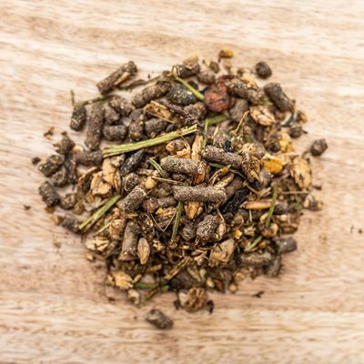 DbxhVpIUtmVpE6O1764324838