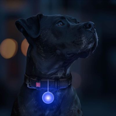 WAUDOG RGB LED lampa för hundhalsband