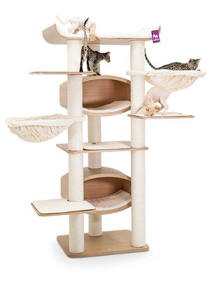 DqjGN6icKhlpb7G1766403465