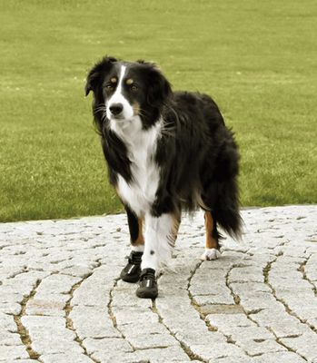 ETZIKcrZrXn9tut1764326777