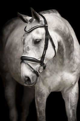 Ee9NMGBqU5AikXe1764327213