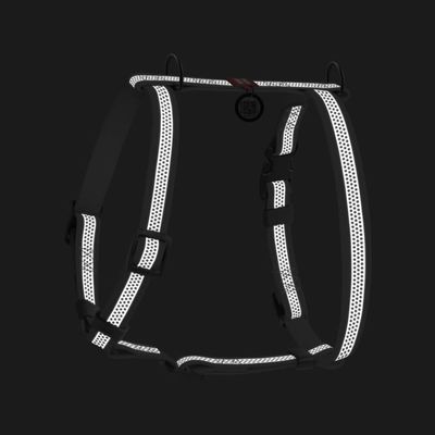 Ek3RFfpmFcnDhvG1764327508