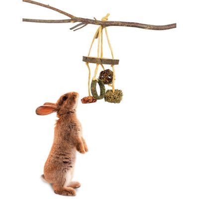 EqgU9NqFIUcEvmg1764325370