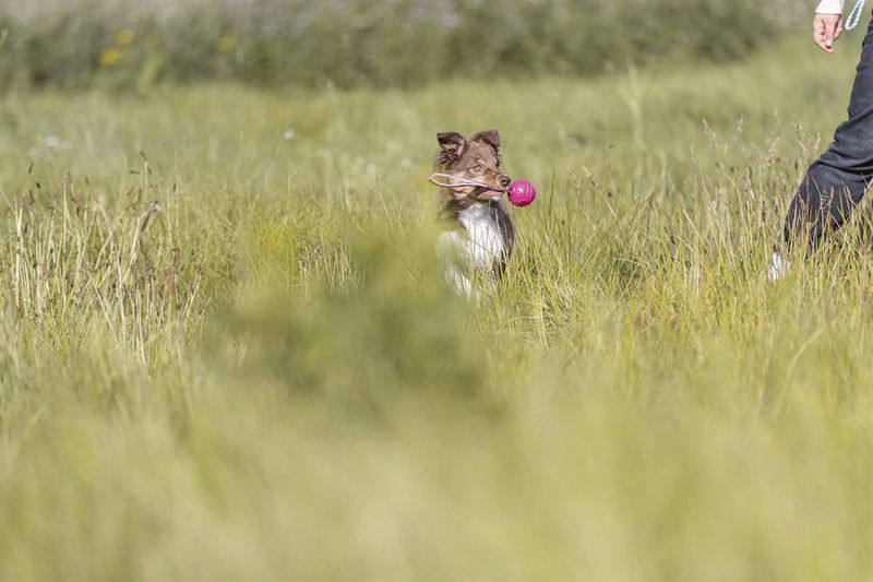 Soft & Strong boll med rem TPR rosa