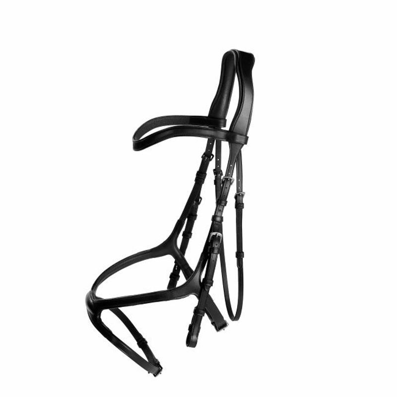 Träns Knights Arthur