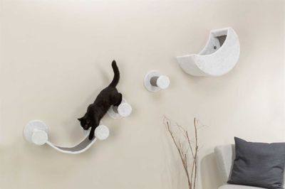 FJMGF7I0D639Qfo1764326737