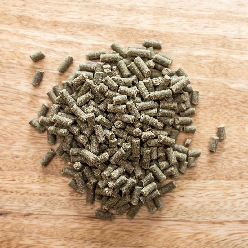 St Hippolyt Gold Medal Refill 5kg