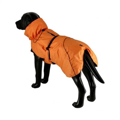 FSFBp2q7fcD468E1764326829