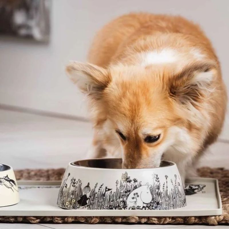 Mumin Matskål för Hund & Katt L (Grå)