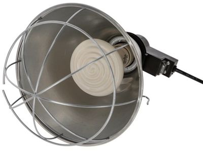 KMfBXA4TXdLmKct1764326604