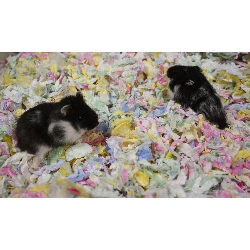 Naturligt pappersströ för Smådjur Mix färg 4.1L 570g