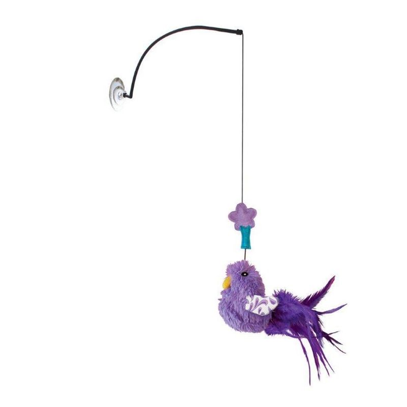 Kong Cat Connects Window Teaser