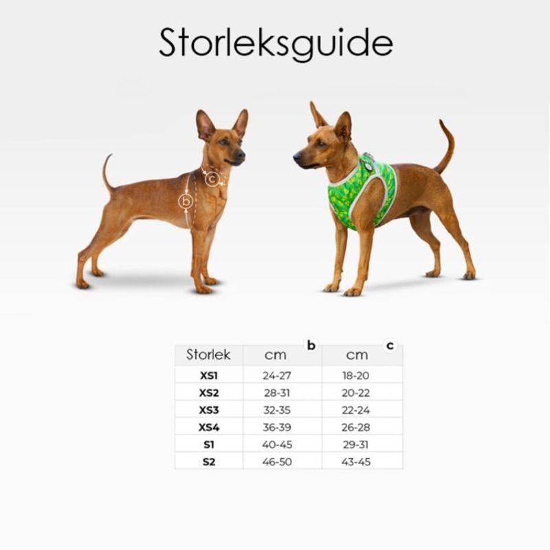 WAUDOG Västsele Reflextyg