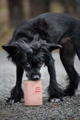 KwPDBIrP5yIWKnN1764327658