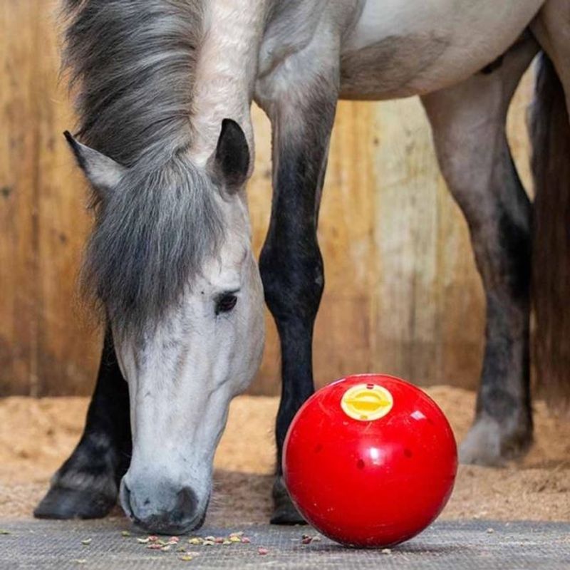 Likit Snak-a-Ball (Röd)